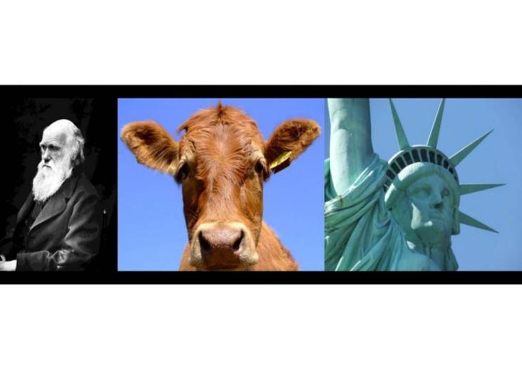 EvoS-2: Evolutionary Studies - applying evolutionary thinking outside the biology realm 2020-2021